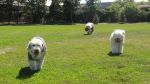 DSC07815.JPG