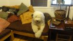 DSC07818.JPG
