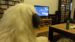 DSC07825.JPG