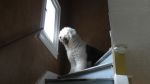 DSC07827.JPG