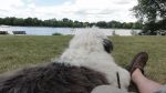 DSC07834.JPG