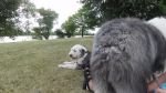 DSC07836.JPG