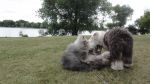 DSC07839.JPG