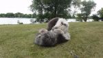 DSC07841.JPG
