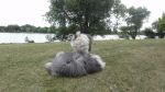 DSC07842.JPG