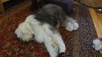 DSC07845.JPG