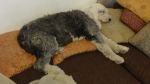 DSC07846.JPG