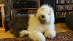 DSC07859.JPG