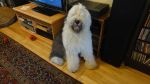 DSC07875.JPG