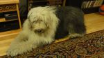 DSC07924.JPG