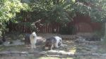 DSC08150.JPG