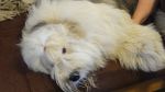 DSC08423.JPG