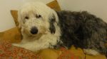 DSC08633.JPG