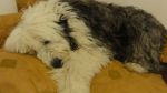 DSC08634.JPG