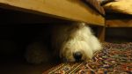 DSC08695.JPG