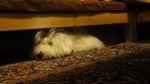 DSC08699.JPG