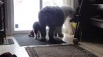 DSC08708.JPG