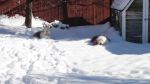 DSC08811.JPG