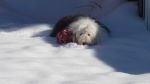 DSC08812.JPG