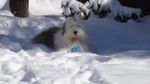 DSC08813.JPG