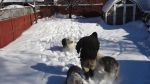 DSC08817.JPG