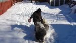 DSC08818.JPG