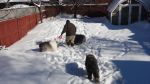 DSC08819.JPG