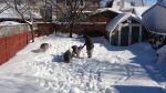 DSC08823.JPG