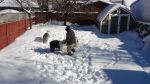 DSC08825.JPG