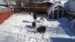 DSC08827.JPG
