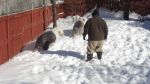 DSC08831.JPG