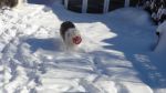 DSC08832.JPG