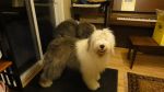 DSC08844.JPG