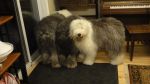 DSC08853.JPG