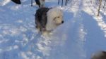 DSC08877.JPG