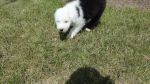 DSC09400.JPG