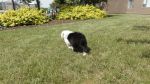 DSC09401.JPG