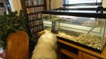 DSC09723.JPG