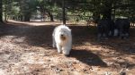 DSC09742.JPG