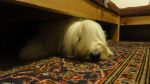 DSC09782.JPG