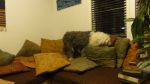DSC09810.JPG
