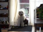 Mady_Apr11 019.jpg