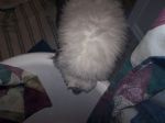 Mady_July12 001.jpg