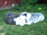 Mady_July12 012.jpg