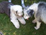 Mady_July12 014.jpg