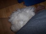 Mady_July23 002.jpg