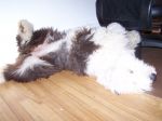 Mady_Jun27 020.jpg
