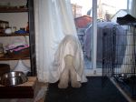 Mady_May25 004.jpg