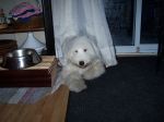 Mady_May25 006.jpg