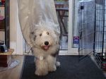 Mady_May25 026.jpg